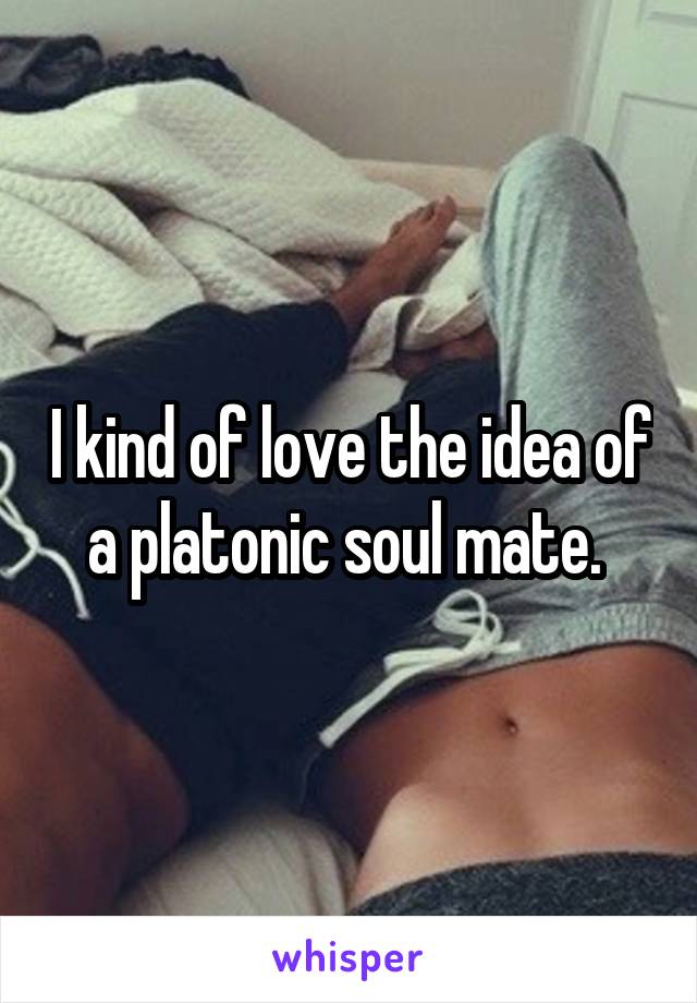 I kind of love the idea of a platonic soul mate. 