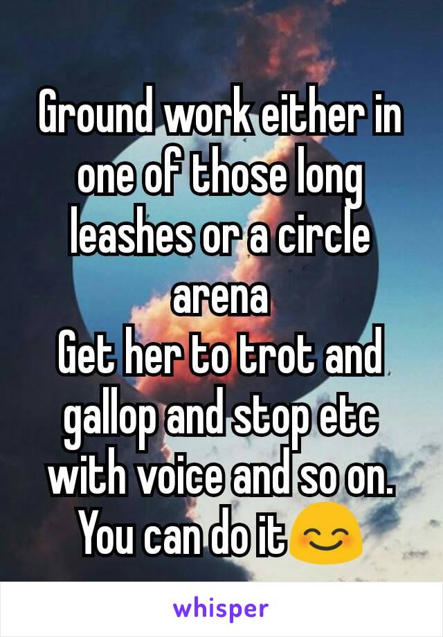 Ground work either in one of those long leashes or a circle arena
Get her to trot and gallop and stop etc with voice and so on.
You can do it😊