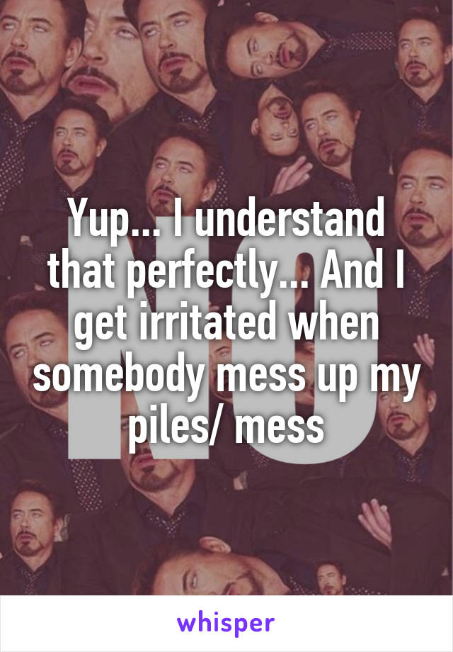 Yup... I understand that perfectly... And I get irritated when somebody mess up my piles/ mess