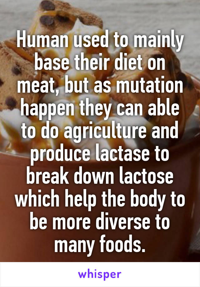 Human used to mainly base their diet on meat, but as mutation happen they can able to do agriculture and produce lactase to break down lactose which help the body to be more diverse to many foods.