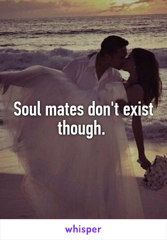 Soul mates don't exist though. 