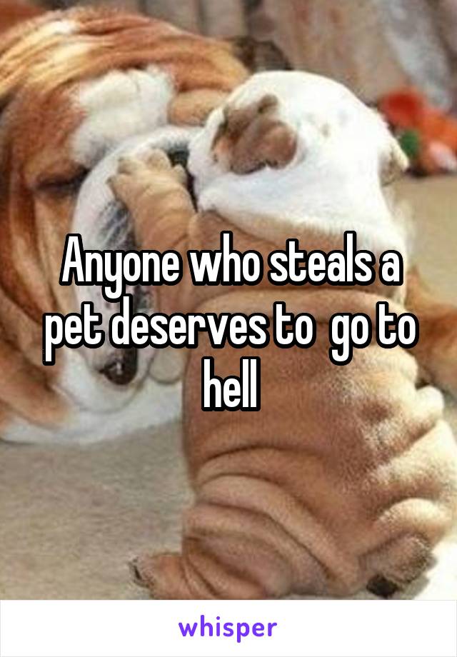 Anyone who steals a pet deserves to  go to hell