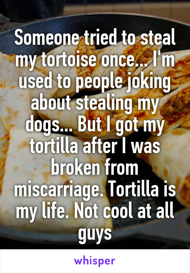 Someone tried to steal my tortoise once... I'm used to people joking about stealing my dogs... But I got my tortilla after I was broken from miscarriage. Tortilla is my life. Not cool at all guys