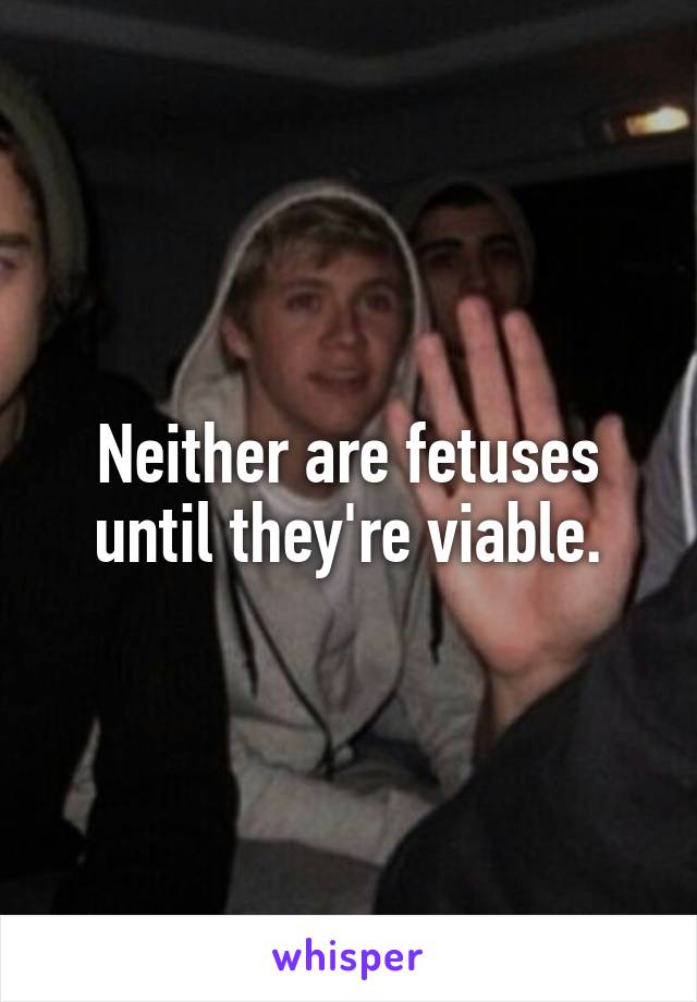 Neither are fetuses until they're viable.