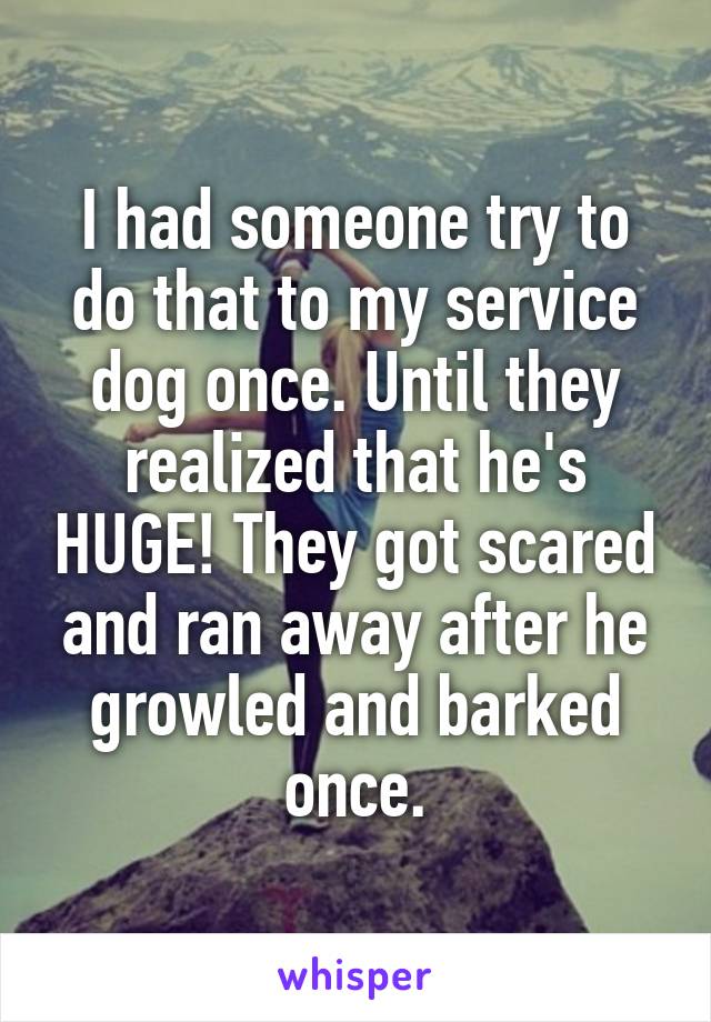 I had someone try to do that to my service dog once. Until they realized that he's HUGE! They got scared and ran away after he growled and barked once.