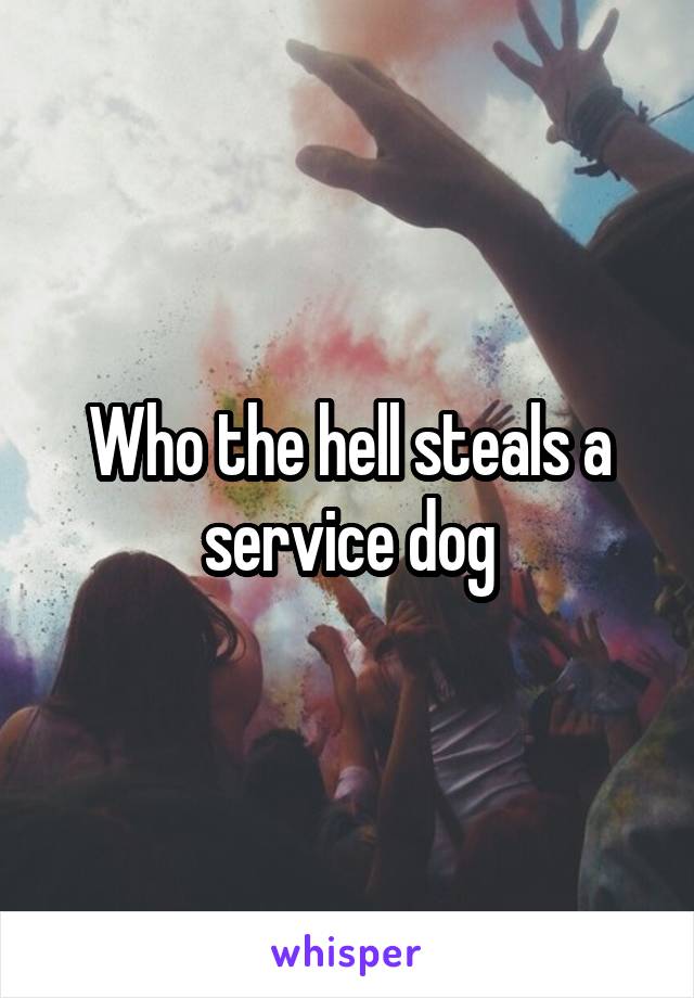 Who the hell steals a service dog