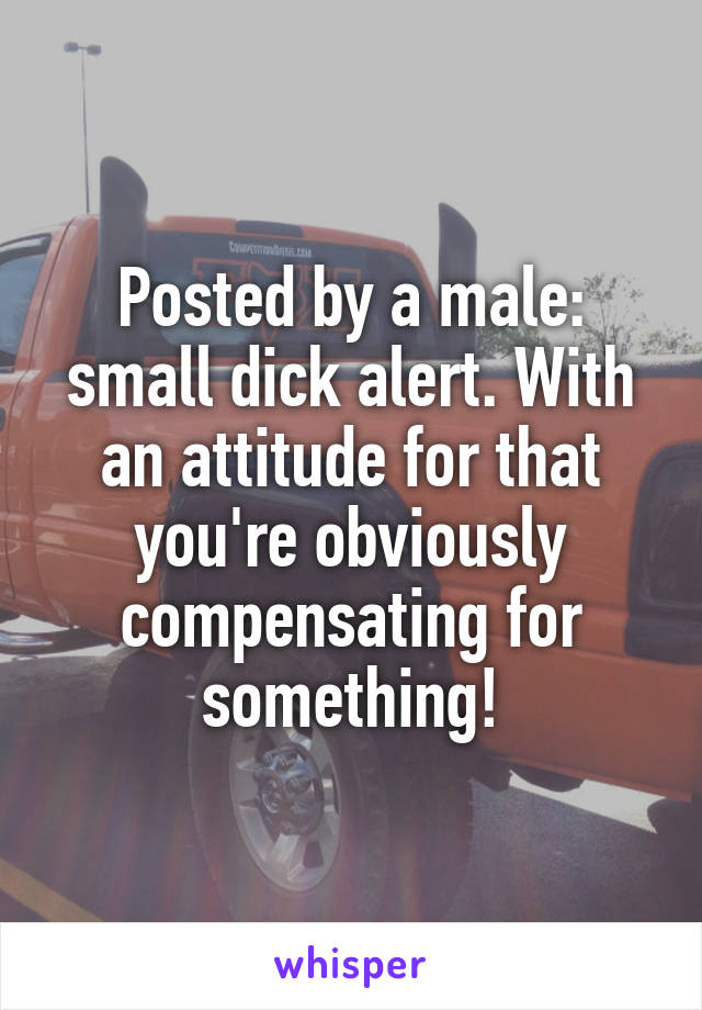 Posted by a male: small dick alert. With an attitude for that you're obviously compensating for something!