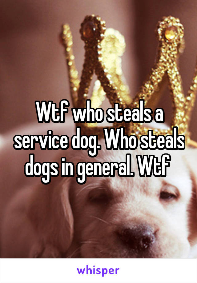 Wtf who steals a service dog. Who steals dogs in general. Wtf 
