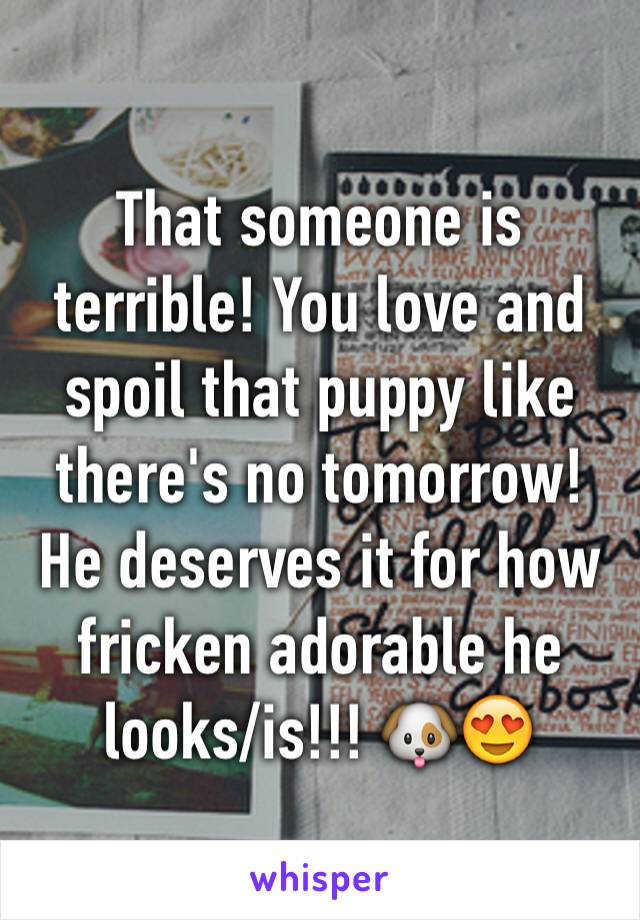 That someone is terrible! You love and spoil that puppy like there's no tomorrow! He deserves it for how fricken adorable he looks/is!!! 🐶😍