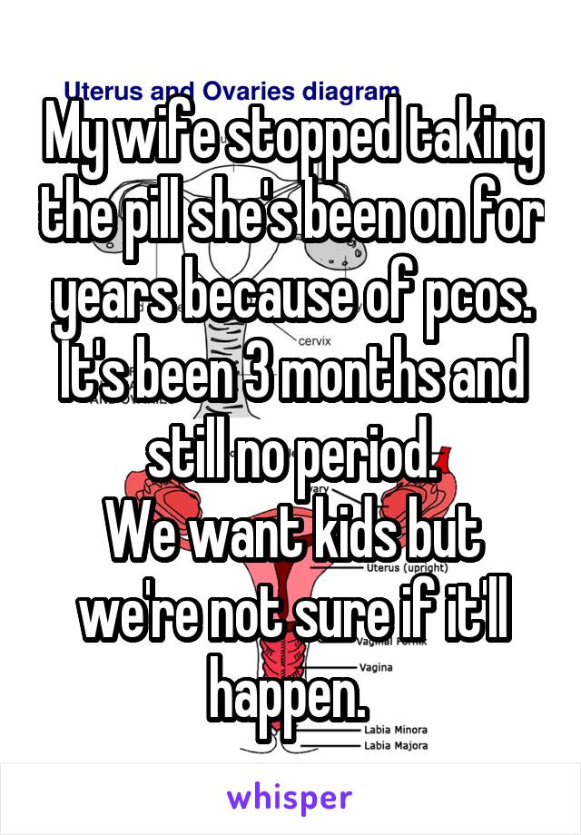 My wife stopped taking the pill she's been on for years because of pcos. It's been 3 months and still no period.
We want kids but we're not sure if it'll happen. 