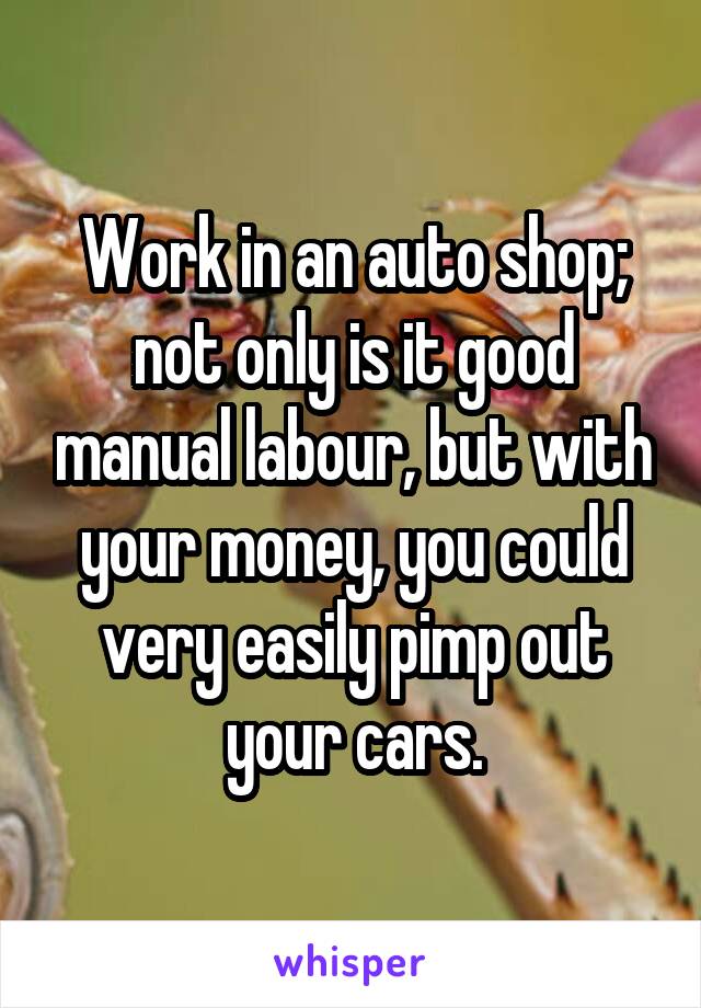 Work in an auto shop; not only is it good manual labour, but with your money, you could very easily pimp out your cars.