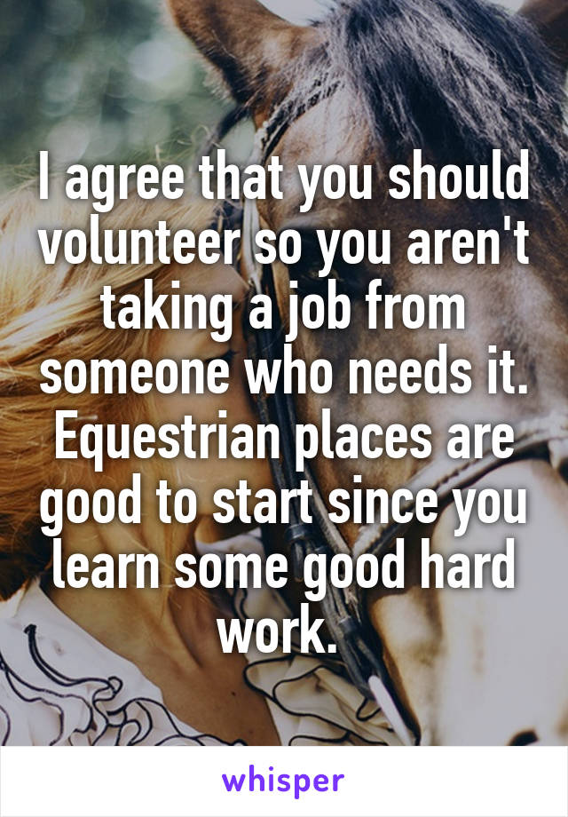 I agree that you should volunteer so you aren't taking a job from someone who needs it. Equestrian places are good to start since you learn some good hard work. 