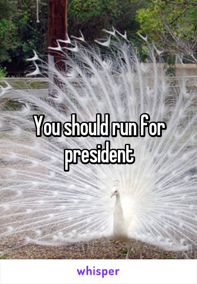 You should run for president