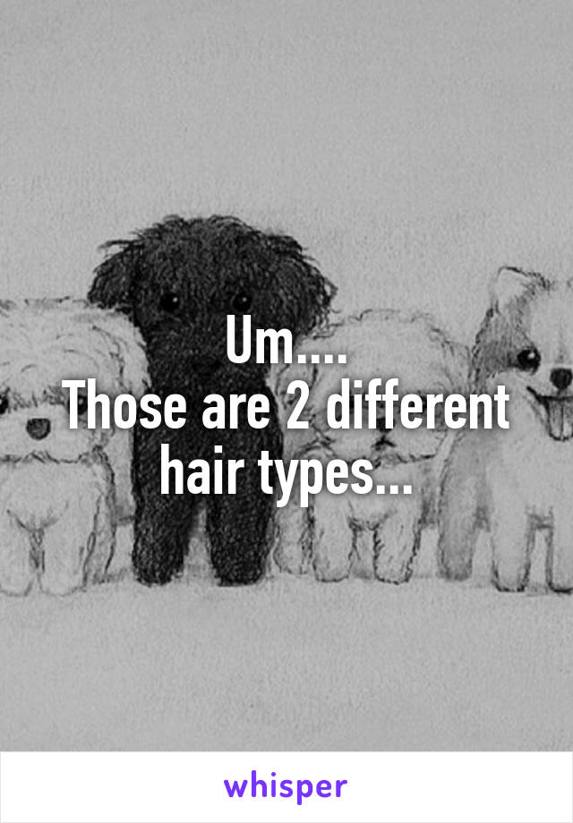 Um....
Those are 2 different hair types...