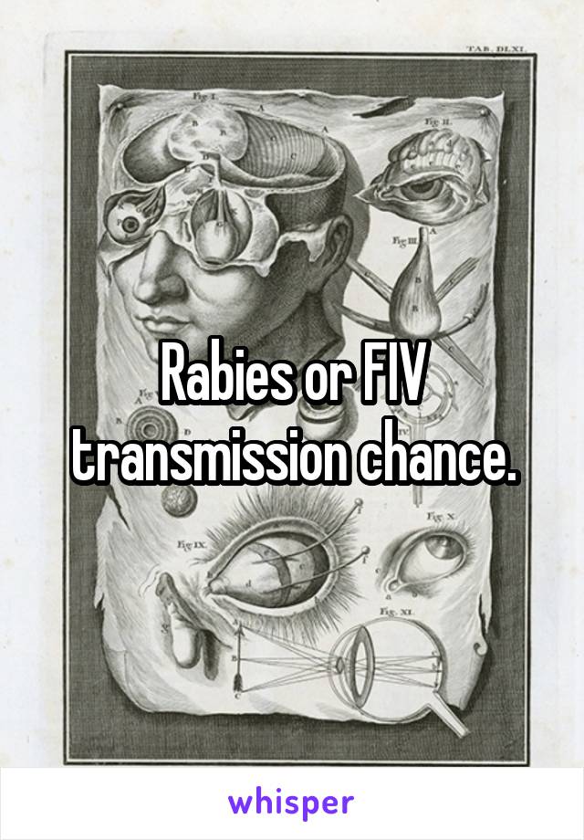 Rabies or FIV transmission chance.