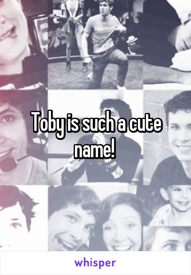 Toby is such a cute name! 