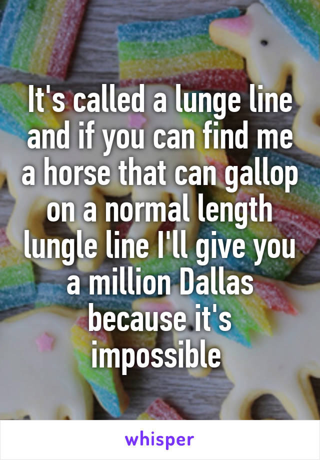 It's called a lunge line and if you can find me a horse that can gallop on a normal length lungle line I'll give you a million Dallas because it's impossible 