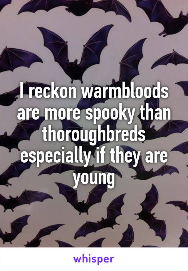 I reckon warmbloods are more spooky than thoroughbreds especially if they are young
