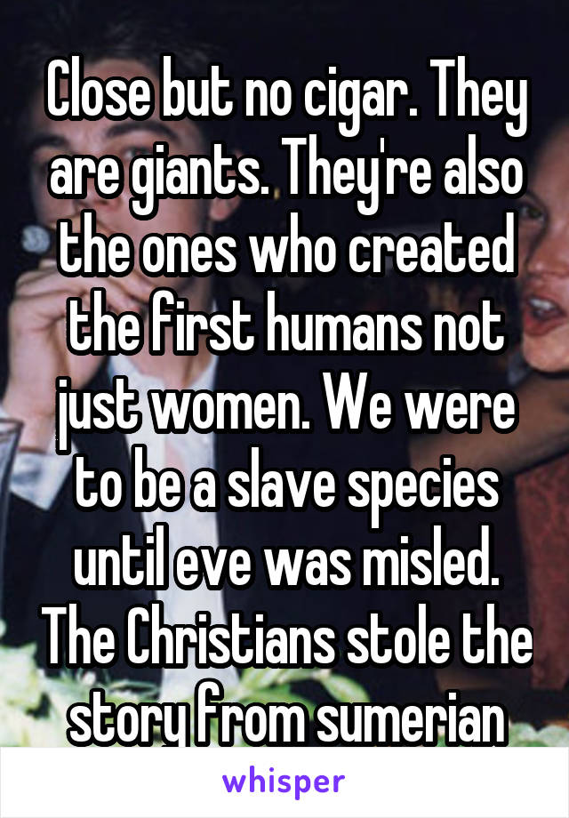 Close but no cigar. They are giants. They're also the ones who created the first humans not just women. We were to be a slave species until eve was misled. The Christians stole the story from sumerian