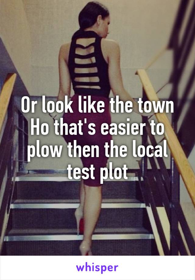 Or look like the town Ho that's easier to plow then the local test plot