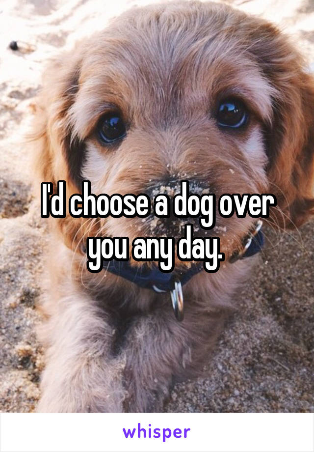 I'd choose a dog over you any day. 