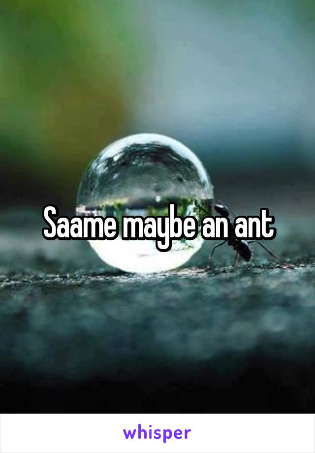 Saame maybe an ant