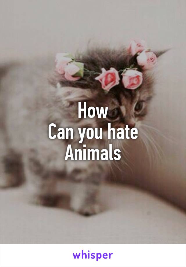 How
Can you hate
Animals
