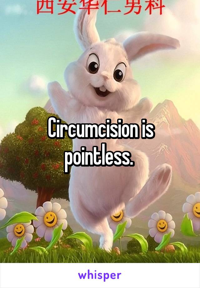 Circumcision is pointless. 