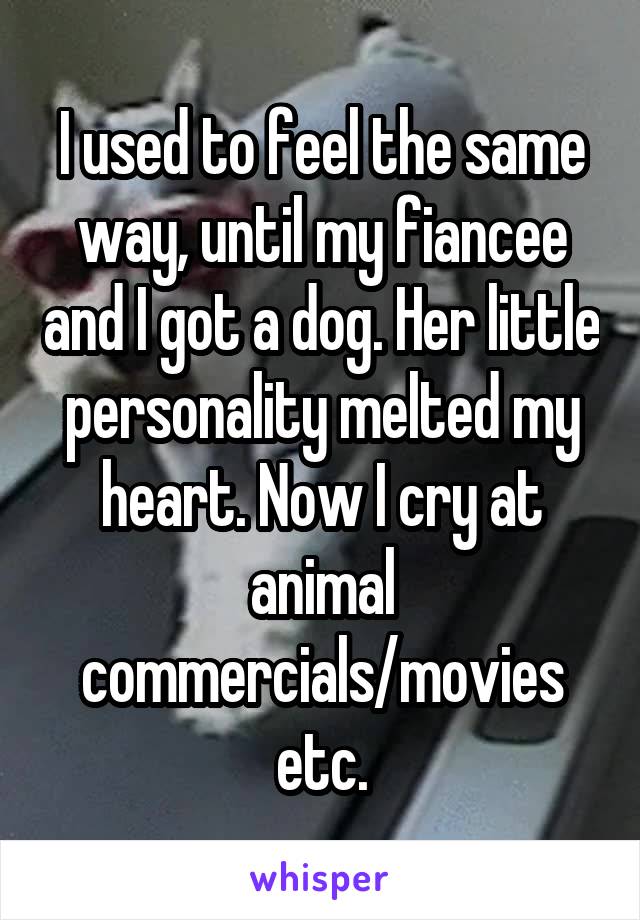 I used to feel the same way, until my fiancee and I got a dog. Her little personality melted my heart. Now I cry at animal commercials/movies etc.