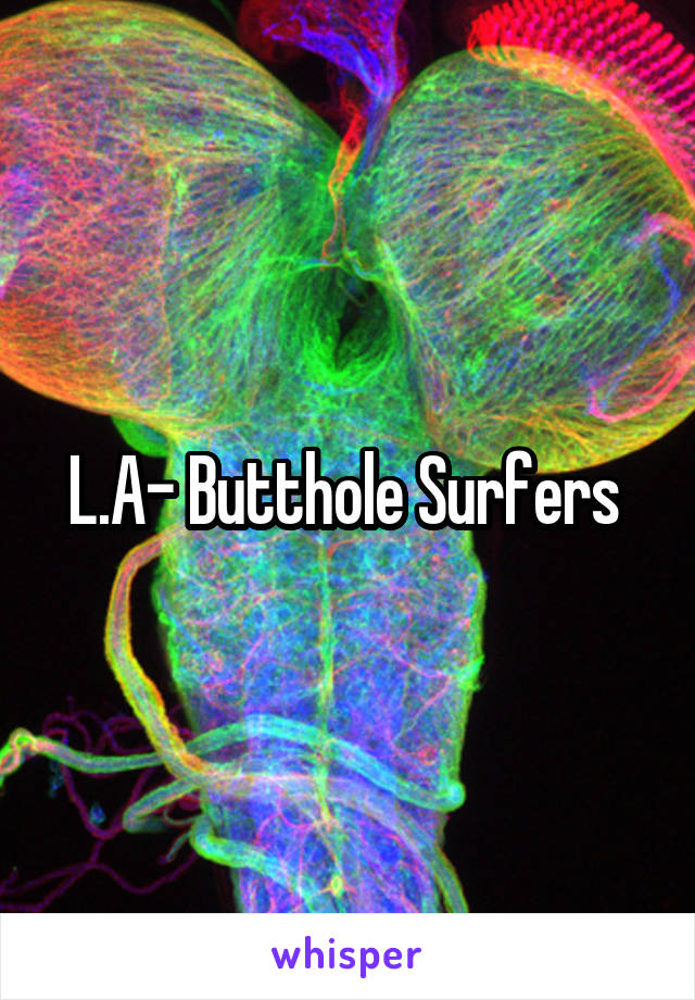 L.A- Butthole Surfers 