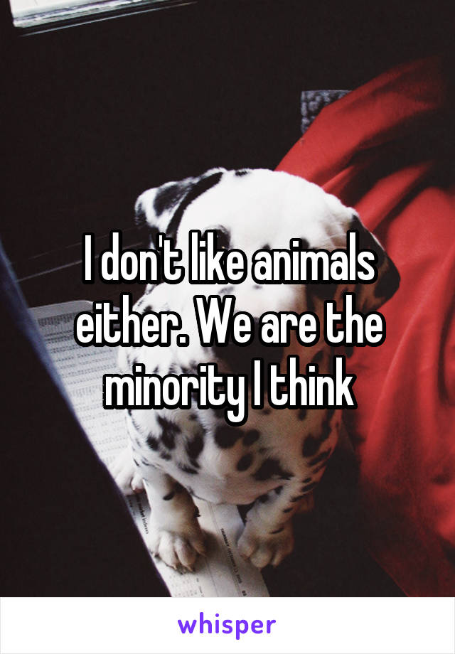 I don't like animals either. We are the minority I think