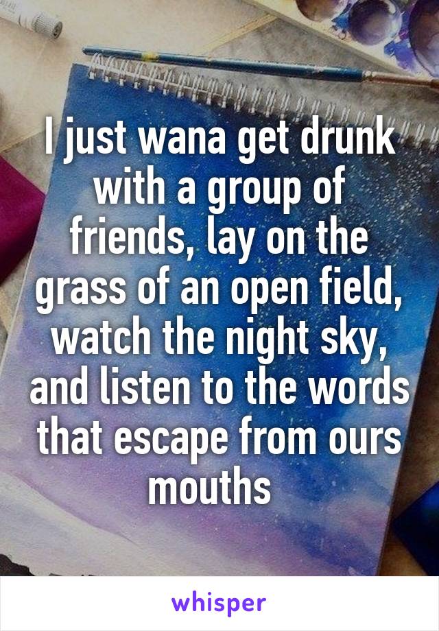 I just wana get drunk with a group of friends, lay on the grass of an open field, watch the night sky, and listen to the words that escape from ours mouths  