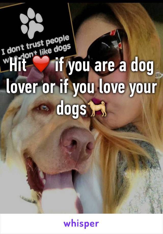 Hit ❤️ if you are a dog lover or if you love your dogs🐕