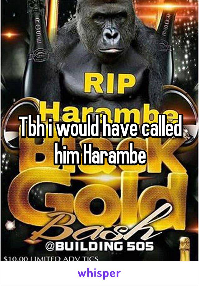 Tbh i would have called him Harambe