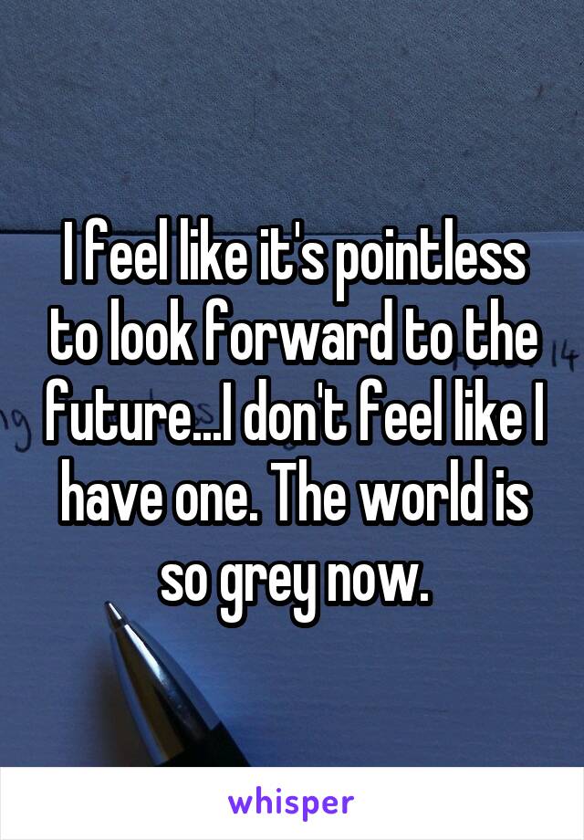I feel like it's pointless to look forward to the future...I don't feel like I have one. The world is so grey now.