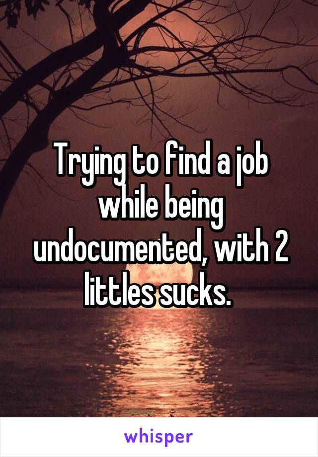 Trying to find a job while being undocumented, with 2 littles sucks. 