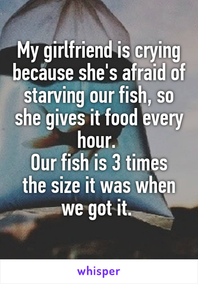My girlfriend is crying because she's afraid of starving our fish, so she gives it food every hour. 
Our fish is 3 times the size it was when we got it. 
