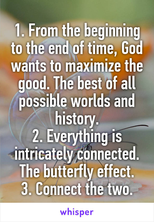 1. From the beginning to the end of time, God wants to maximize the good. The best of all possible worlds and history.
2. Everything is intricately connected. The butterfly effect.
3. Connect the two.