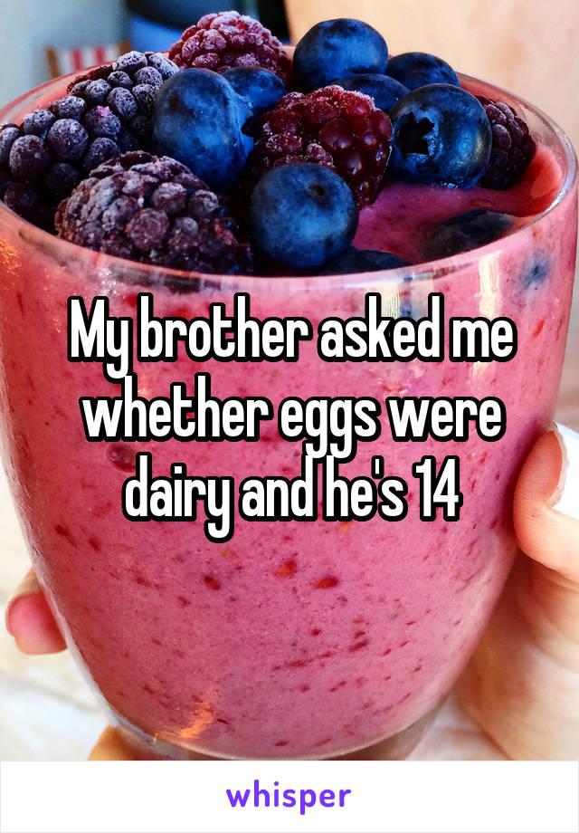 My brother asked me whether eggs were dairy and he's 14