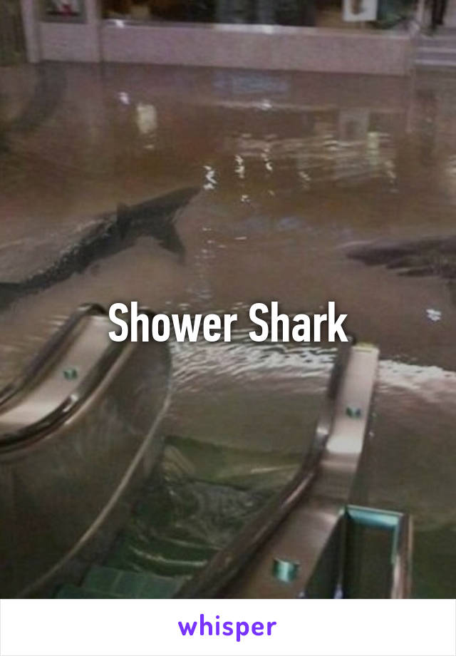 Shower Shark