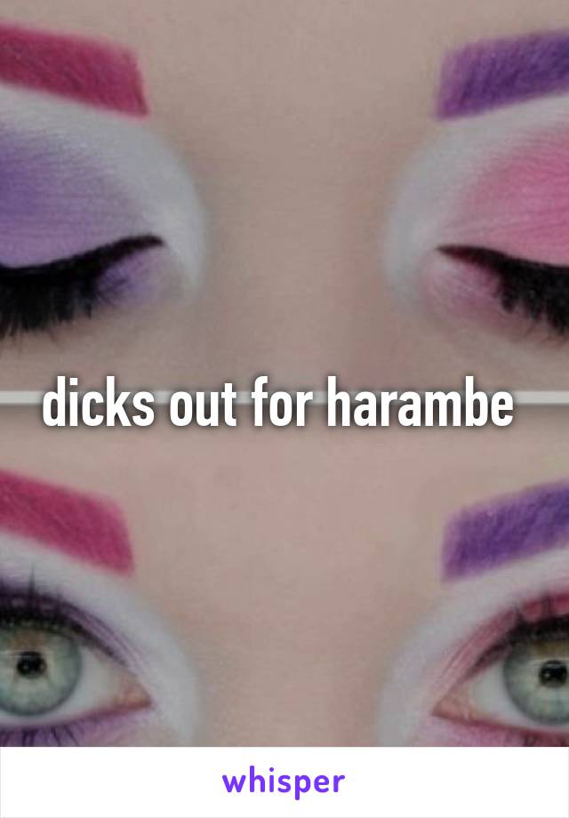 dicks out for harambe 