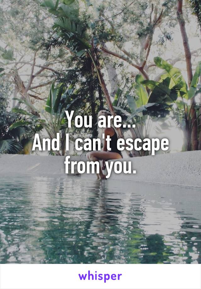 You are...
And I can't escape from you.