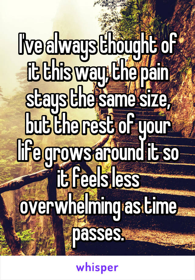 I've always thought of it this way, the pain stays the same size, but the rest of your life grows around it so it feels less overwhelming as time passes.