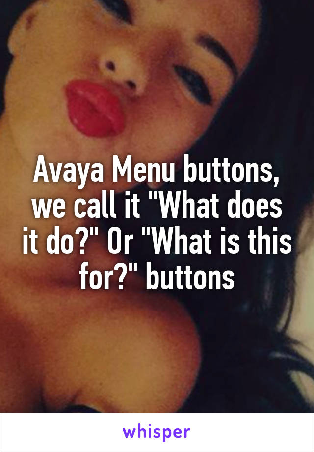 Avaya Menu buttons, we call it "What does it do?" Or "What is this for?" buttons
