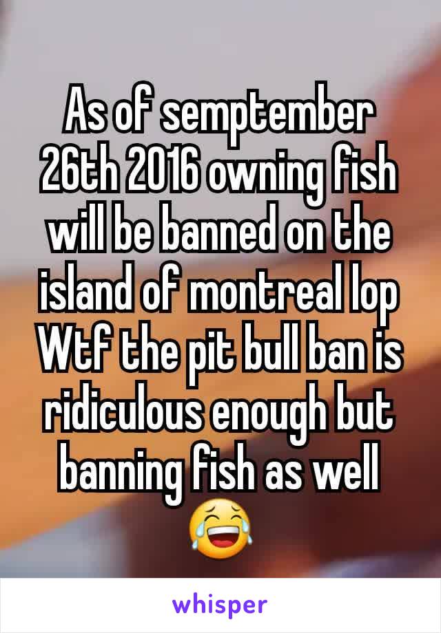 As of semptember 26th 2016 owning fish will be banned on the island of montreal lop Wtf the pit bull ban is ridiculous enough but banning fish as well 😂