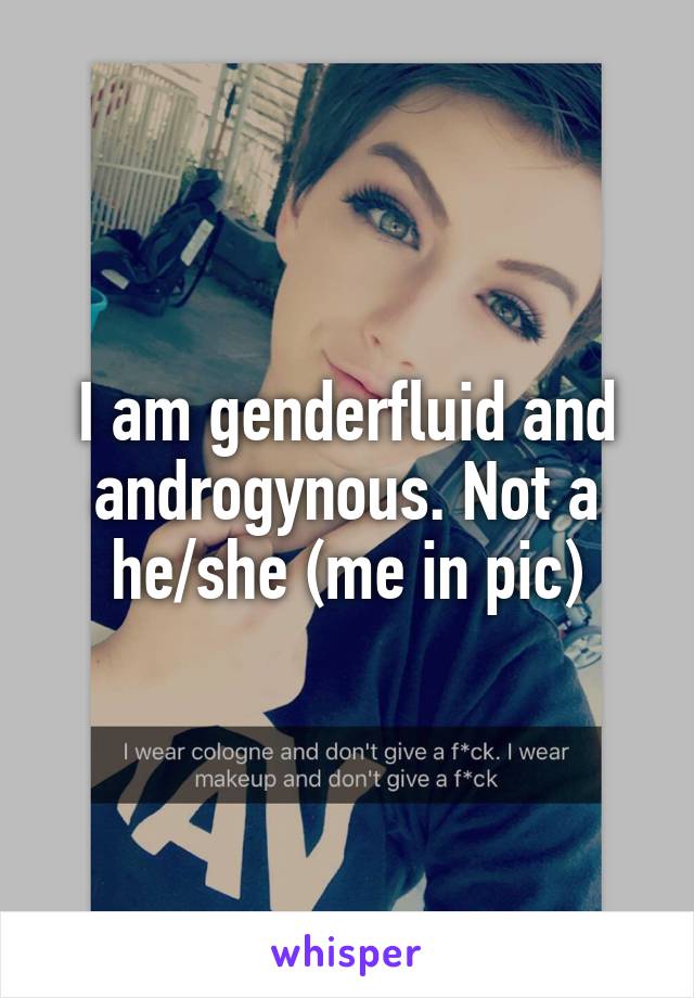 I am genderfluid and androgynous. Not a he/she (me in pic)