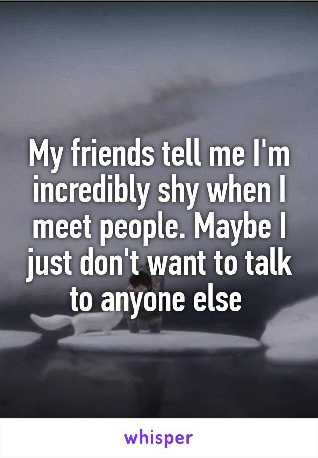 My friends tell me I'm incredibly shy when I meet people. Maybe I just don't want to talk to anyone else 