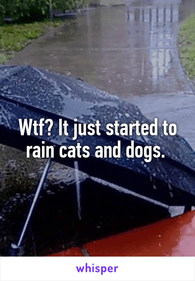 Wtf? It just started to rain cats and dogs. 