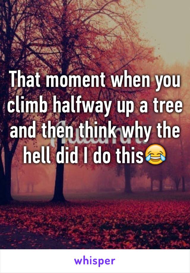 That moment when you climb halfway up a tree and then think why the hell did I do this😂