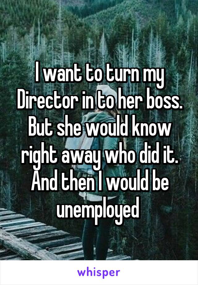 I want to turn my Director in to her boss.
But she would know right away who did it. And then I would be unemployed 